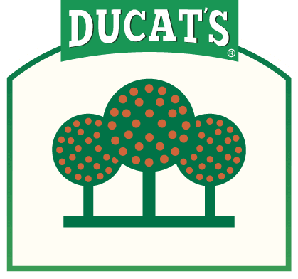 Ducat